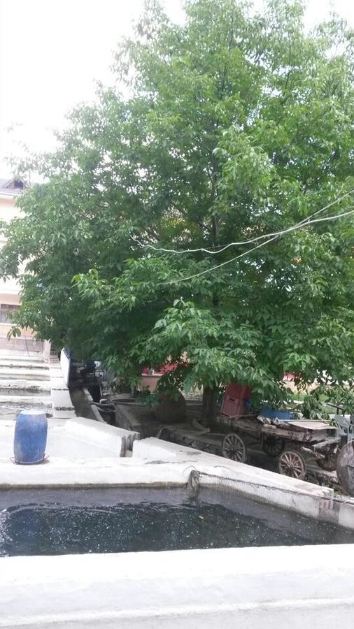 Alanlar Alabalik Ve Otel Ağlasun Exterior foto